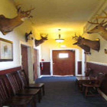 Macarthur Inn Нерроус Екстер'єр фото